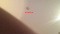 预览图14