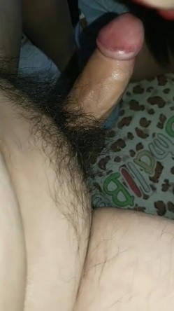 预览图9
