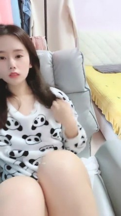 预览图13