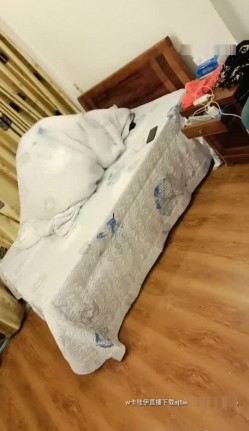预览图5