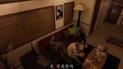 预览图6