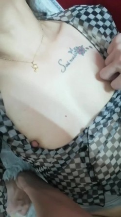 预览图5