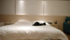 预览图4