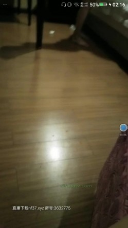 预览图14