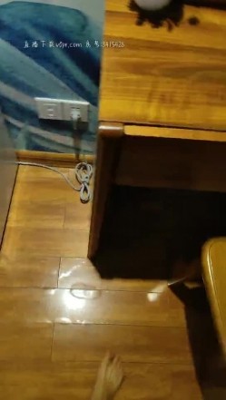 预览图4