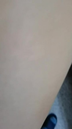 预览图8