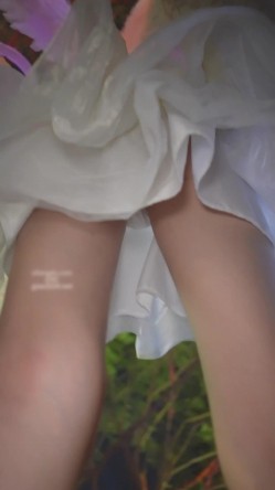 预览图8