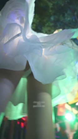 预览图15