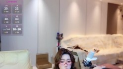 预览图14