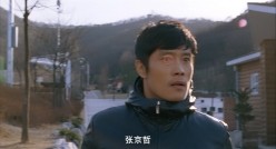 预览图13
