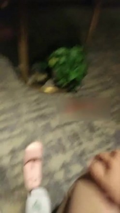 预览图16