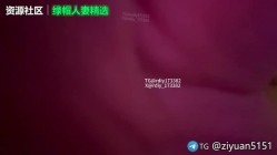 预览图12