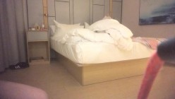 预览图1