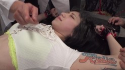 预览图4