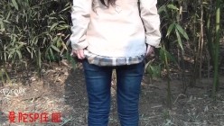 预览图5