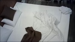预览图8