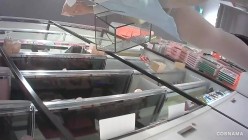 预览图4