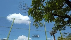 预览图5