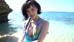 预览图4