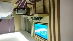 预览图4