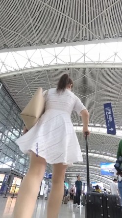 预览图4