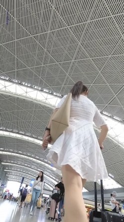 预览图6