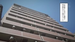 预览图6