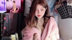 预览图5