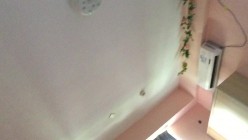 预览图5