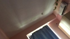 预览图6