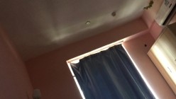 预览图8
