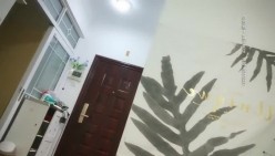 预览图16