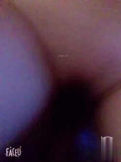 预览图5