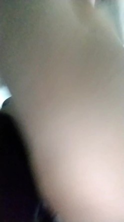 预览图14