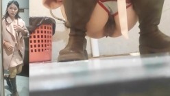 预览图4
