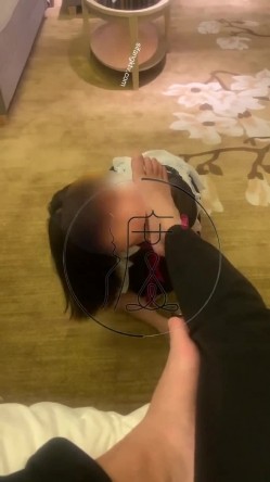 预览图12
