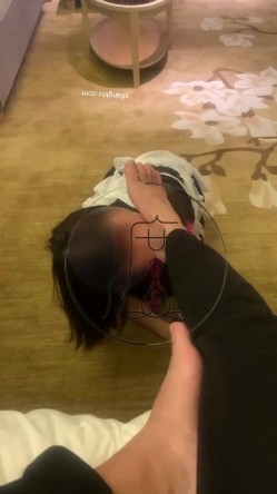 预览图13
