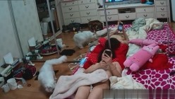 预览图16