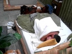 预览图1