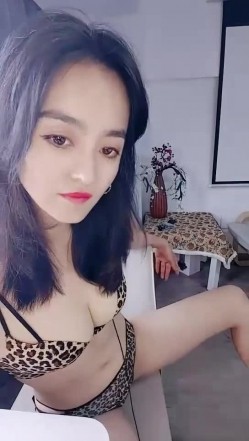 预览图5