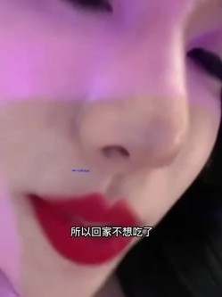 预览图4