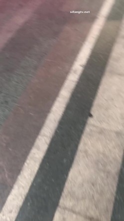 预览图9