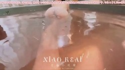 预览图12