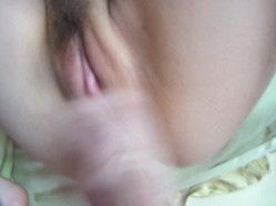 预览图6