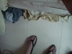 预览图8