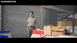 预览图13