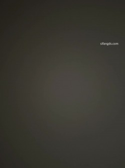 预览图15