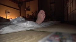 预览图4