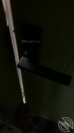 预览图9