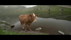 预览图7